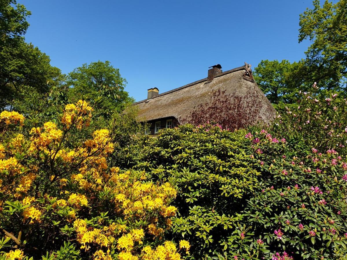 Villa Hof Lindemann Schneverdingen Exterior foto