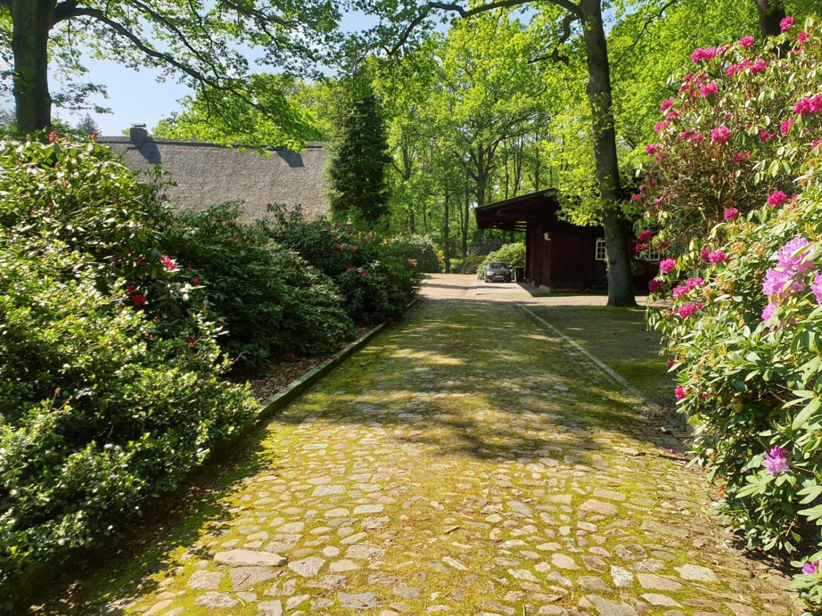 Villa Hof Lindemann Schneverdingen Exterior foto